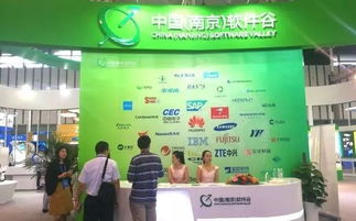 第十三屆中國南京國際軟件產(chǎn)品和信息服務(wù)交易博覽會(huì)盛大開幕，聚焦信息咨詢服務(wù)新趨勢